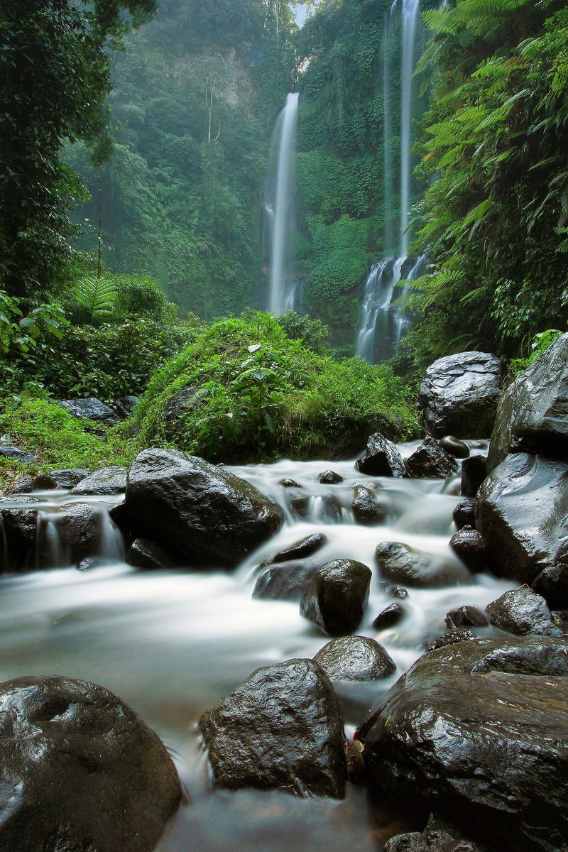 The tall jungle falls of Sekumpul Waterfall in northern Bali
