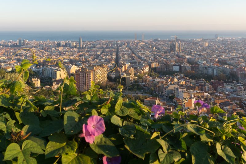 Panoramic view over Barcelona with the Sagrada Família and the sea from the Bunkers del Carmel hilltop viewpoint