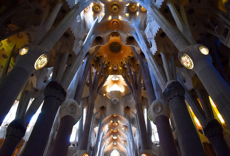 Looking up inside the Sagrada Família: Gaudí's tree-like stone columns branching into the canopy vault of the nave, lit gold and white by the stained-glass windows