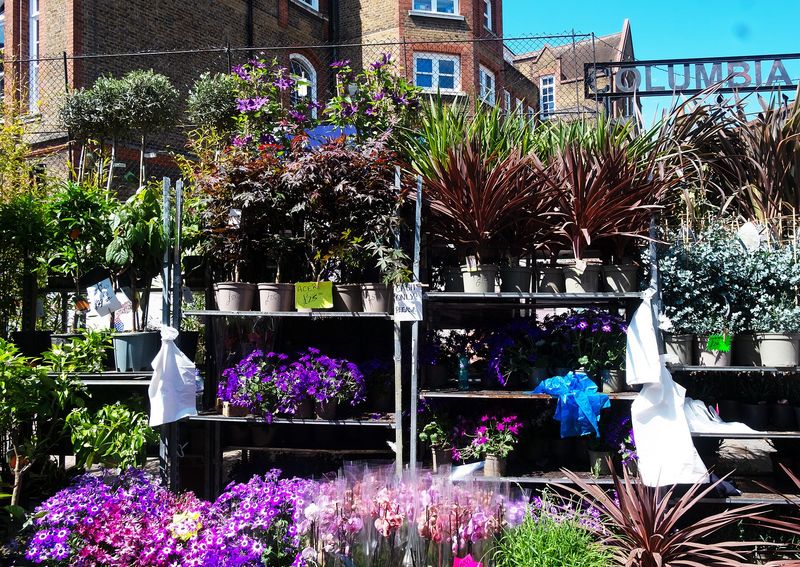 Tiered stalls of potted plants and bright flowers at Columbia Road Flower Market in London