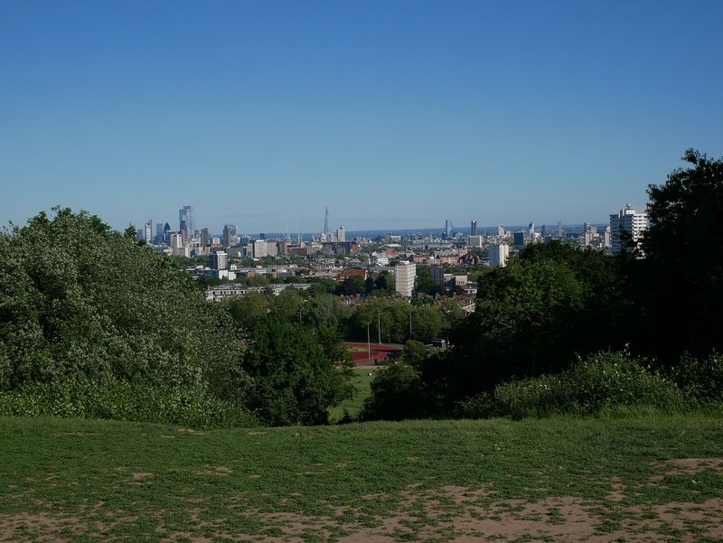 The London skyline viewed across trees from Parliament Hill on Hampstead Heath