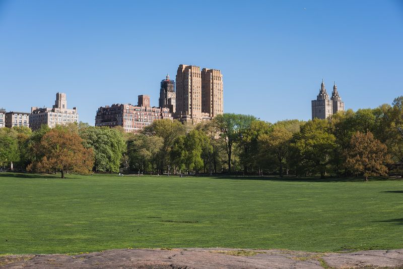 Central Park's Sheep Meadow lawn with the Central Park West skyline rising behind the trees, New York City
